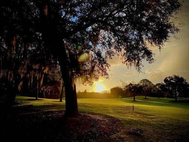 Bring Your Vision to This Villa in The Villas at Tara Golf & - photo 44