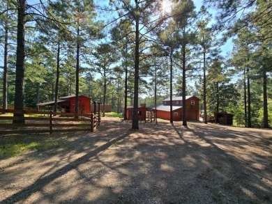 Lake Home For Sale in Wister, Oklahoma