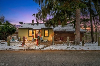 Lake Home For Sale in Akron, Ohio