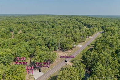 Excellent building lot consisting of 3.01 acres located on Ivy - photo 11