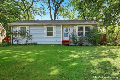 Lake Home For Sale in Island Lake, Illinois