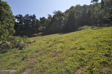 Norris Lake Acreage For Sale in Maynardville Tennessee