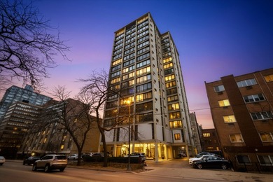 Lake Michigan - Cook County Condo For Sale in Chicago Illinois