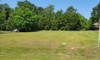 Lake Hide-A-Way Lot For Sale in Carriere Mississippi
