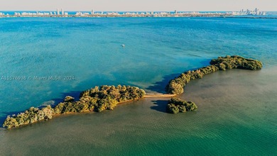 Presenting Bird Key, an uninhabited 4+/- acre island in Biscayne - photo 3