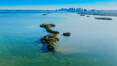 Presenting Bird Key, an uninhabited 4+/- acre island in Biscayne - photo 4