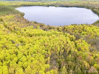 Lake Acreage For Sale in Marenisco, Michigan