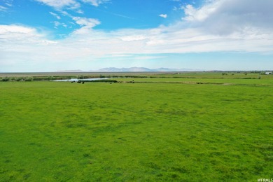 The state of Utah granted 700 Acres of Grazing Rights. Total - photo 4