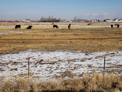 The state of Utah granted 700 Acres of Grazing Rights. Total - photo 8