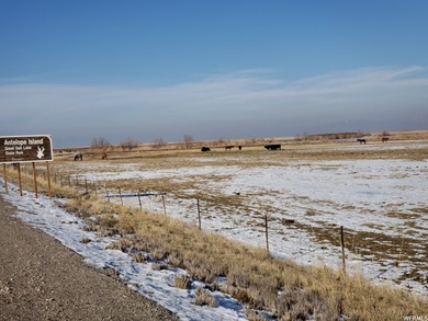 The state of Utah granted 700 Acres of Grazing Rights. Total - photo 9