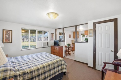 564' of Lake Buchanan shoreline. 6.3 acres. Eleven cabins. This - photo 7