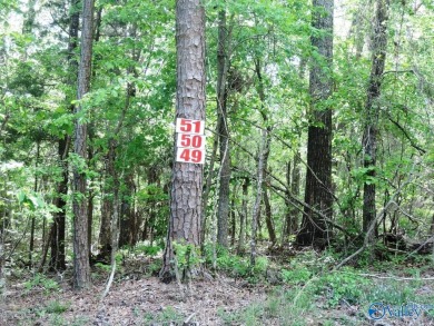 Lake Lot For Sale in Jasper, Alabama