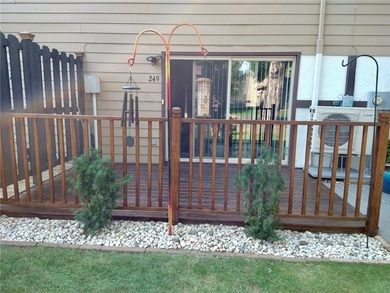 Charming & Updated Condo in Prime Chippewa Falls Location - photo 21