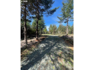 Enjoy your private Shangri-La on this serene one-acre lot - photo 1