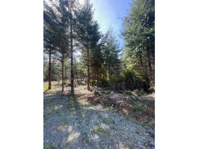 Enjoy your private Shangri-La on this serene one-acre lot - photo 3