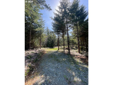 Enjoy your private Shangri-La on this serene one-acre lot - photo 4