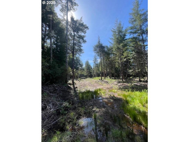 Enjoy your private Shangri-La on this serene one-acre lot - photo 5