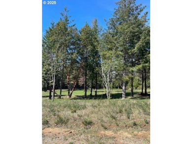 Enjoy your private Shangri-La on this serene one-acre lot - photo 6