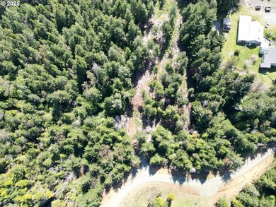Enjoy your private Shangri-La on this serene one-acre lot - photo 10