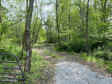 (private lake, pond, creek) Acreage For Sale in Byhalia Mississippi