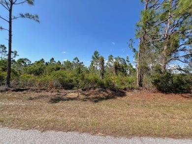 Port Charlotte Waterway Lakes Area Lot For Sale in Port Charlotte Florida