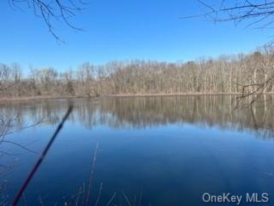 Hudson River - Dutchess County Acreage For Sale in Hyde Park New York