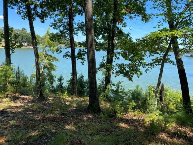 Lake Lot For Sale in Abbeville, South Carolina