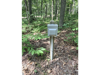 Enjoy your own Up North getaway on this 0.33-acre recreational - photo 14