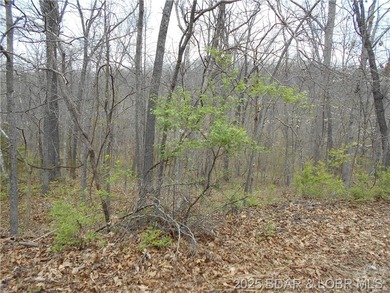 Additional listing photo 2
