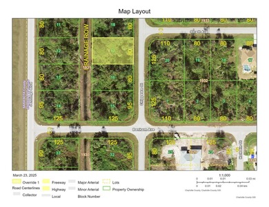 Nice lot in Port Charlotte, now available for your new Florida - photo 2
