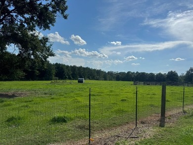 Additional listing photo 1