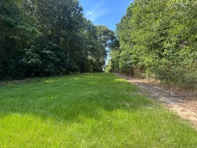 Additional listing photo 2