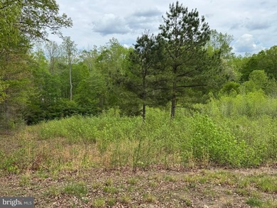 Beautiful and flat water access lot in very popular subdivision - photo 14