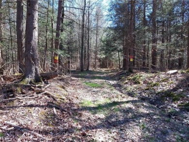 Beaverkill River Acreage For Sale in Hancock New York