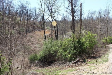 Lake Lot For Sale in Sunrise Beach, Missouri