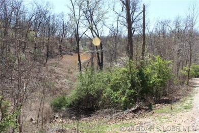 Lake Lot For Sale in Sunrise Beach, Missouri
