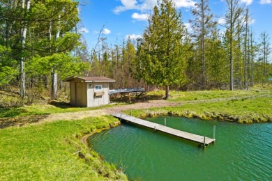 Scenic Canalfront Home in Montomorency County, MI on Crooked Lake - photo 12