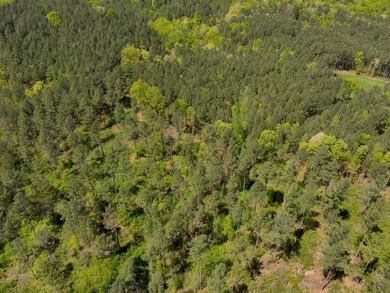 Land Luxury in Guntersville! Discover an exceptional opportunity - photo 11
