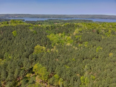 Land Luxury in Guntersville! Discover an exceptional opportunity - photo 12
