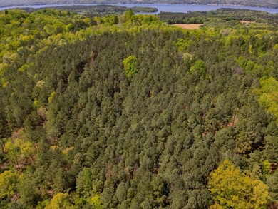 Land Luxury in Guntersville! Discover an exceptional opportunity - photo 14