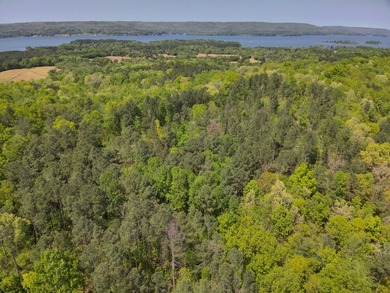 Land Luxury in Guntersville! Discover an exceptional opportunity - photo 15