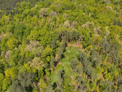Land Luxury in Guntersville! Discover an exceptional opportunity - photo 17