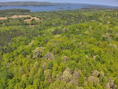 Land Luxury in Guntersville! Discover an exceptional opportunity - photo 18