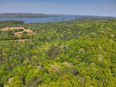 Land Luxury in Guntersville! Discover an exceptional opportunity - photo 19