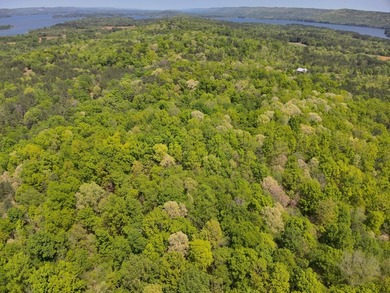 Land Luxury in Guntersville! Discover an exceptional opportunity - photo 20