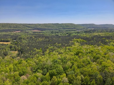 Land Luxury in Guntersville! Discover an exceptional opportunity - photo 21