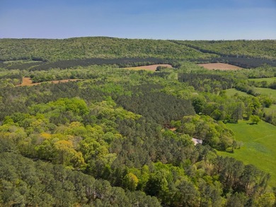 Land Luxury in Guntersville! Discover an exceptional opportunity - photo 22