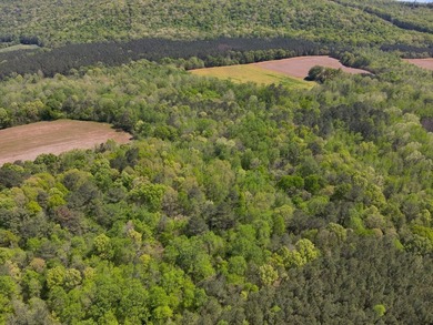 Land Luxury in Guntersville! Discover an exceptional opportunity - photo 23