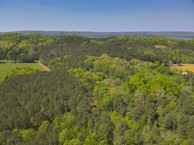 Land Luxury in Guntersville! Discover an exceptional opportunity - photo 24