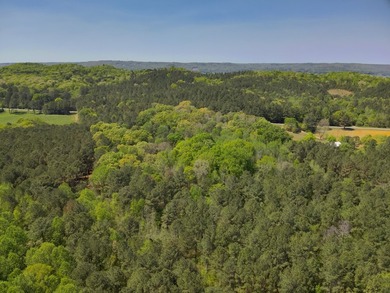 Land Luxury in Guntersville! Discover an exceptional opportunity - photo 25